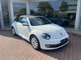 Volkswagen Beetle Cabriolet Design - Volkswagen Beetle: Leder