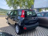Fiat Panda Easy - Fiat Panda aus 2019