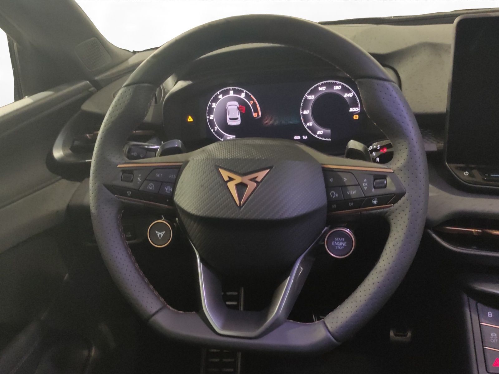 Cupra Terramar - Bild 11