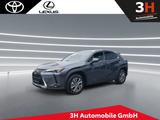 Lexus UX 300e Executive*Neues Modell 71,4kwH* - Lexus in Bonn