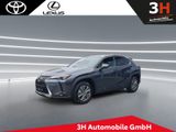 Lexus UX 300e Executive*Neues Modell 71,4kwH* - Lexus: 7