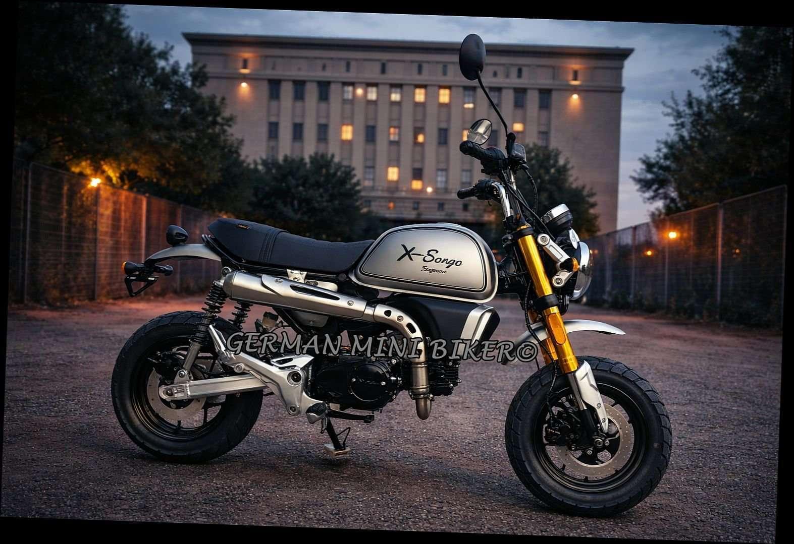 Skyteam Others X-BONGO 50 Euro 5+ de Luxe