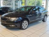 Skoda Superb Elegance 4X4 - Skoda: Schiebedach