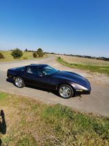 Corvette C4 - Corvette C4 Gebrauchtwagen