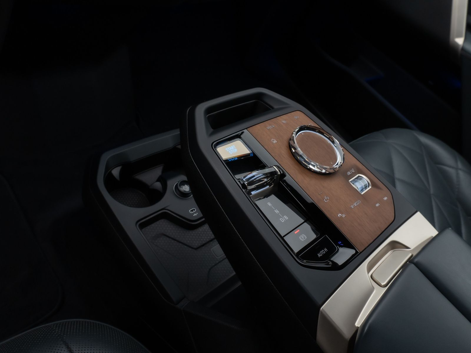 Fahrzeugabbildung BMW iX xD40 Sport SkyLounge 360°Laser DAB H/K 22Zoll