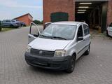 Fiat Panda 169 TÜV 07/2027 - Fiat Panda 169