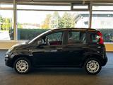 Fiat Panda My Panda - gebrauchte Fiat Panda aus dem Jahr 2013
