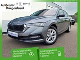 Skoda Octavia Combi 2.0 TDI DSG Ambition ANHÄNGERKUPPL - Skoda Octavia: Ambition