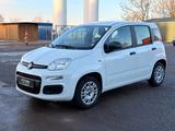 Fiat 1.2 Panda City Cross - Fiat Panda Gebrauchtwagen