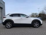 Mazda CX-30 SKYACTIV 2WD HUD+Navi+LED+Winterpaket+ACC - Mazda CX-30 Gebrauchtwagen