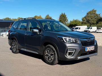 Subaru Forester - 5