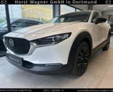 Mazda CX-30 Homura 140 PS *Kamera*Navi*LED*Neuwagen*
