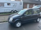 Fiat Panda günstig und zuverlässig  - Fiat Panda aus 2005
