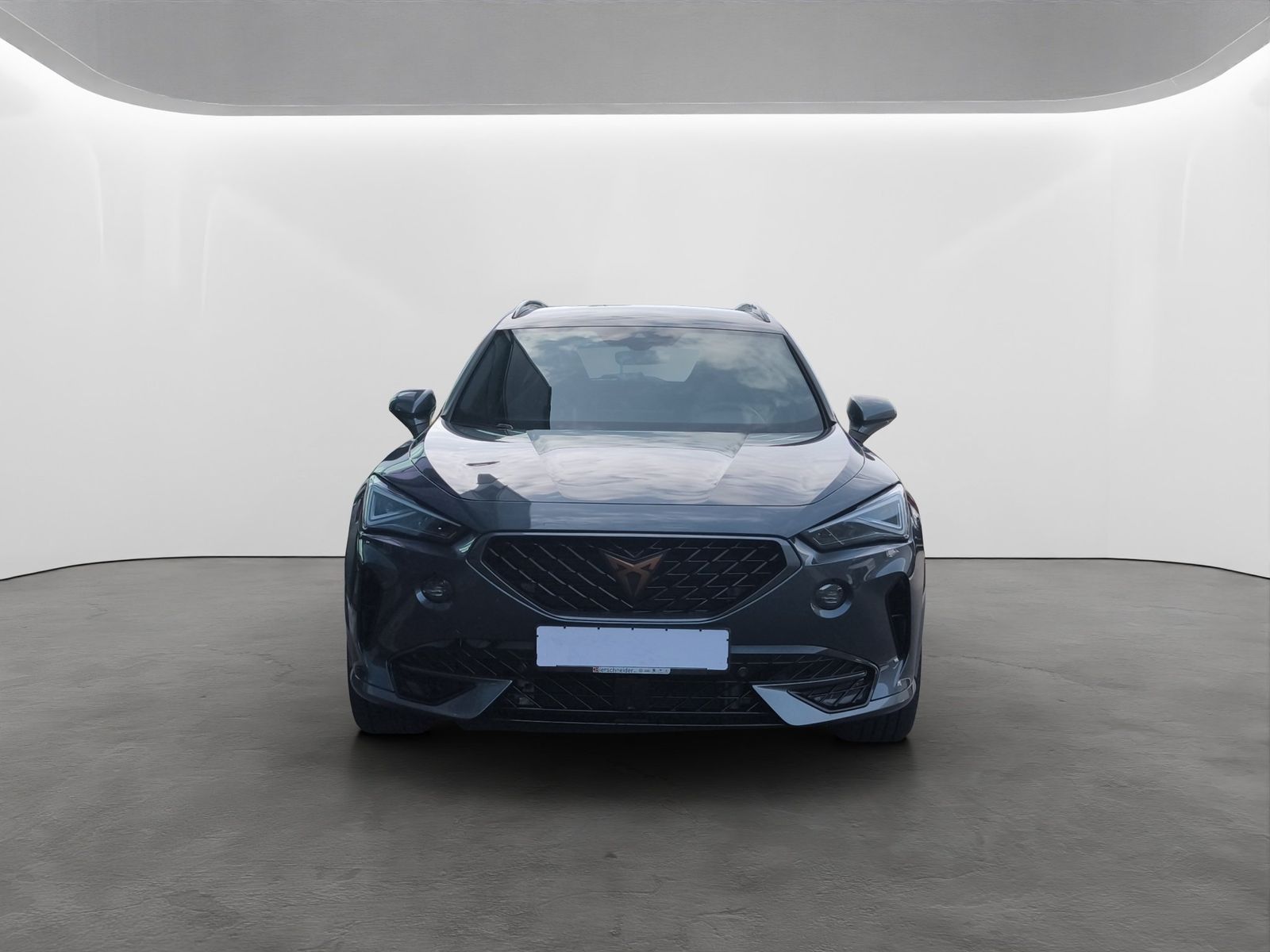 Cupra Formentor 2.0 TSI DSG VZ MATRIX-LED+NAVI+AHK+EH+ imagem 3