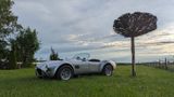 Cobra Repl. VHD-Viper Ford V8 (Cooke), H-Kennz. - Cobra: Roadster