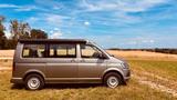 Volkswagen T6 California Beach - graue Volkswagen T6 California