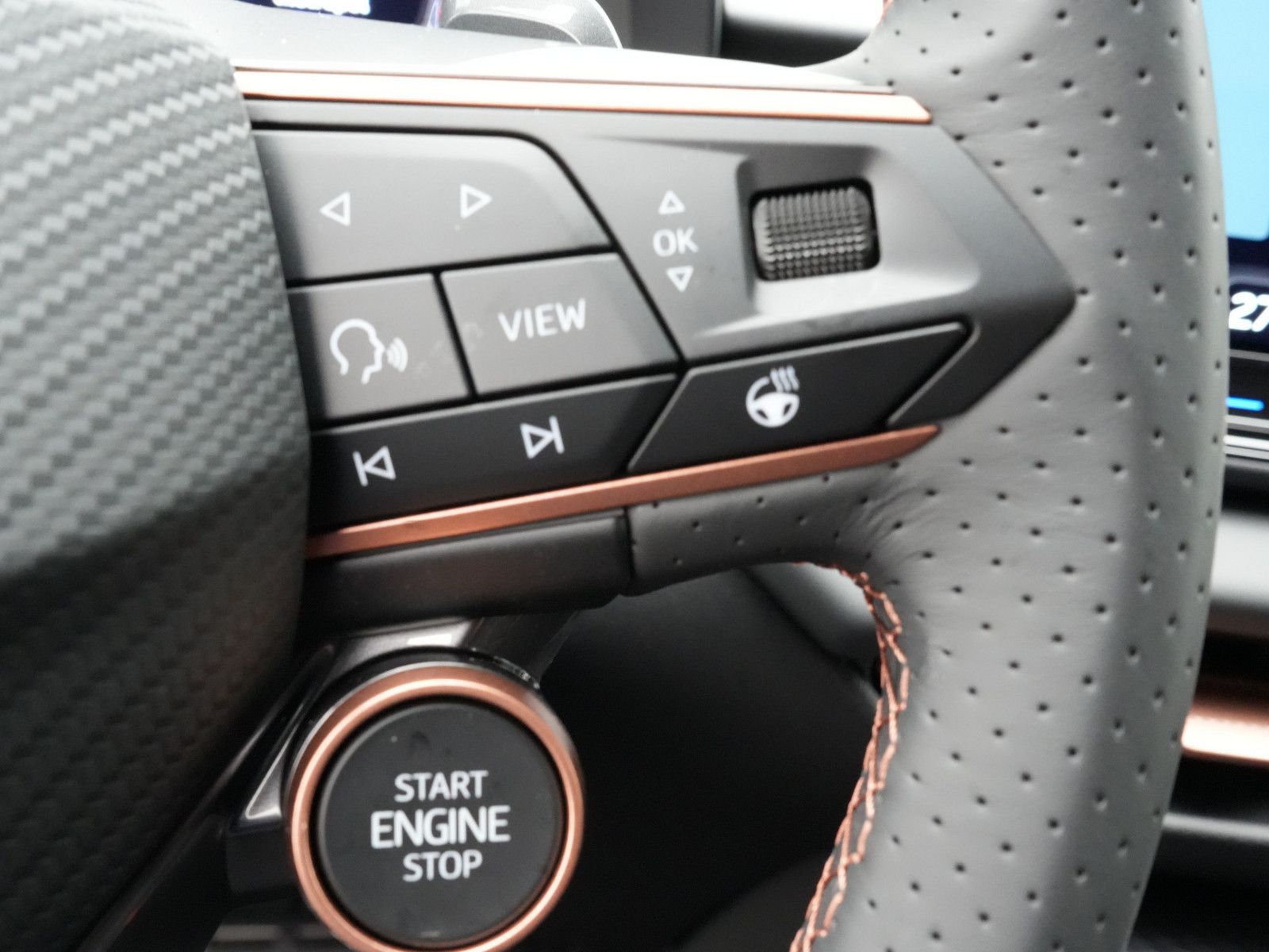 Cupra Terramar - Bild 20