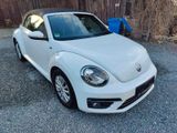 Volkswagen Beetle Cabriolet Sport * R-Line * - Volkswagen Beetle: R Line
