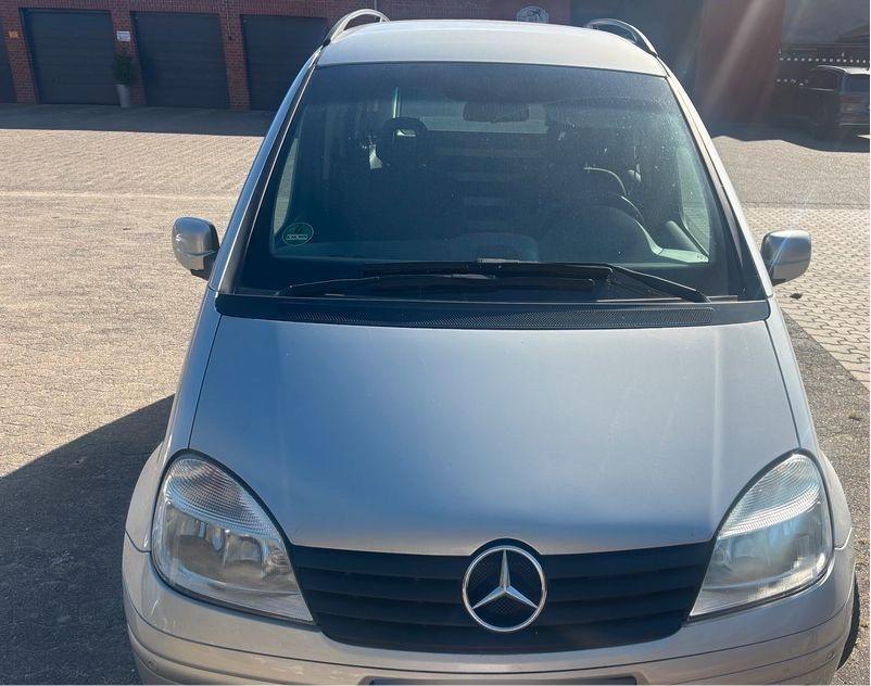 Mercedes-Benz Vaneo 2005 — rear view
