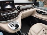 Mercedes-Benz V 250 d Aut. AVANTGARDE EDITION lang AVANTGA... - Mercedes-Benz V 250 in Aachen