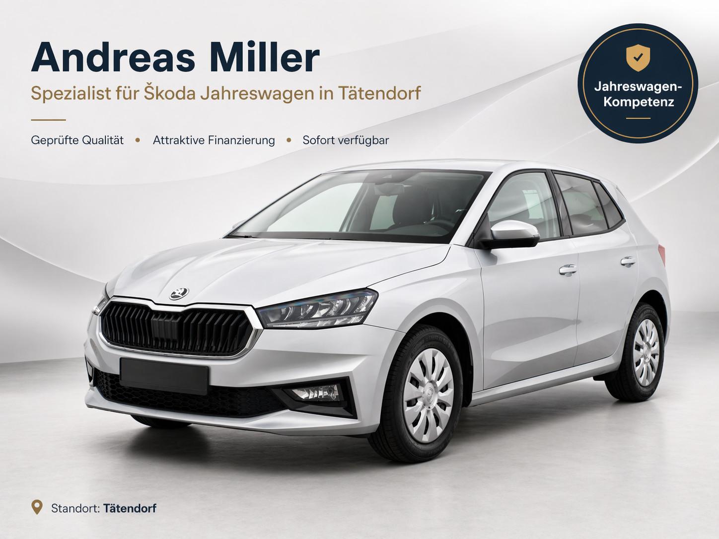 Skoda Fabia 1.0 MPi Selection SHZ LED PDC Klima
