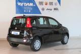 Fiat Panda Pandina 1.0 Hybrid *CityPaket* - Fiat Panda: Pandina