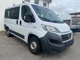 Fiat Ducato 2.3 Luxusbus Panorama*9-Sitze*AHK 3,0t*E6 - Fiat Ducato: 3.0