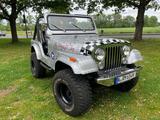 Jeep CJ5 V8 - Jeep CJ: Geländewagen