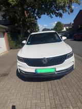 Andere DFSK Fengon 5 mit Gasanlage - : mit Gasanlage