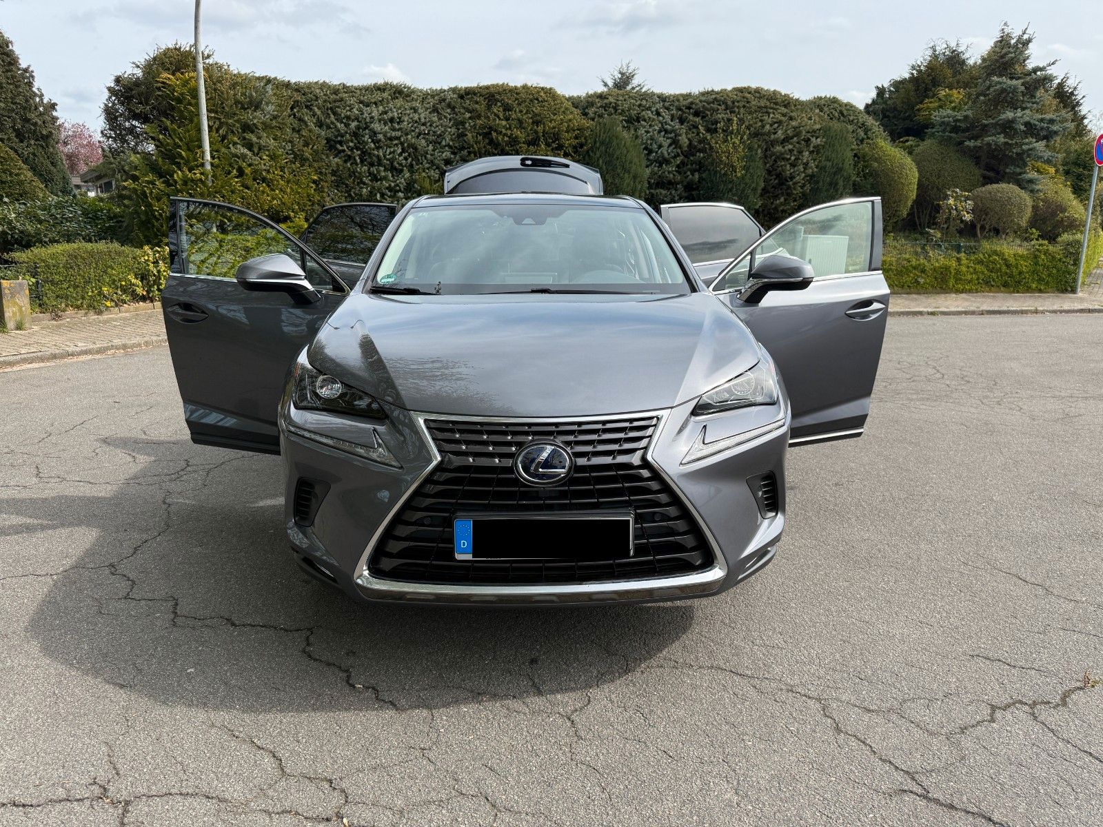 LEXUS NX 300