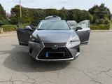 Lexus NX 300h E-Four Executive Line | Panorama | - Lexus in Hamburg: Nx