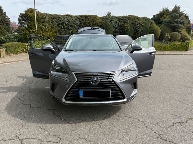LEXUS NX 300