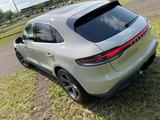 Porsche Macan S in Kreide, LED,360°-View,Panorama,STHZ - Porsche: Beige, Leder