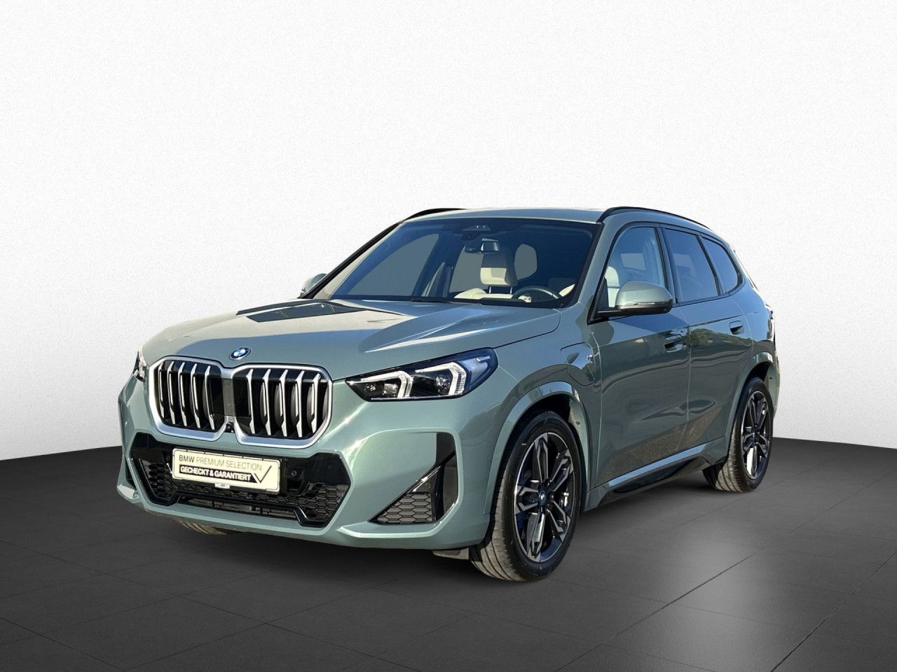 BMW X1 xDrive30e M Sport AHK Pano DA PA HK HUD MEM foto 3