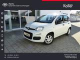 Fiat Panda 1.2 8V Easy Klima HiFi ZV+FB eASP - gebrauchte Fiat Panda aus dem Jahr 2018