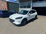 Ford Kuga Titanium X - Ford Kuga: Van