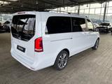 Mercedes-Benz V 220 d EDITION/MBUX/NAVI/NIGHT/BURMESTER/ELEKT. - Mercedes-Benz: Edition