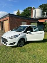 Ford Fiesta zu Verkaufen - Ford Fiesta: Verkaufen