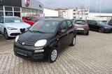 Fiat Panda Pop Klima 8 fach bereift - Fiat Panda: Pop