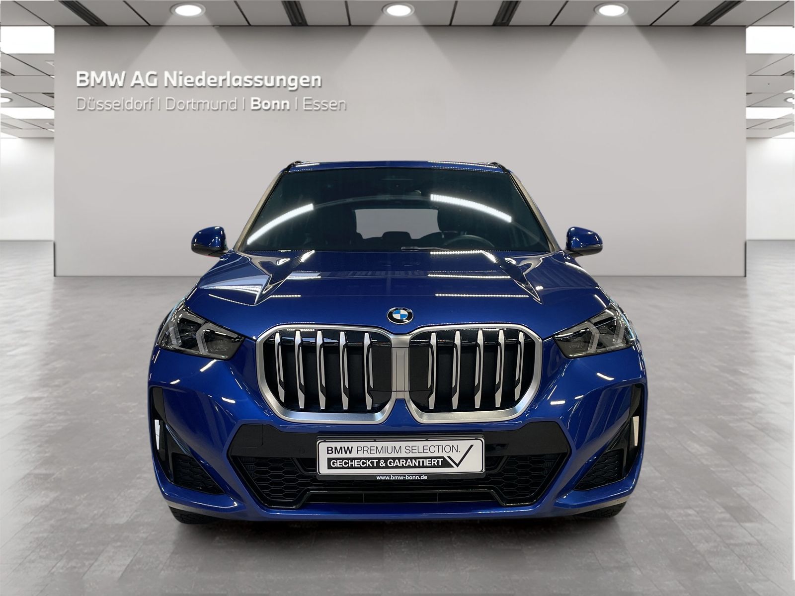 BMW X1 sDrive20i M Sport Kamera Driv.Assist LED foto 5