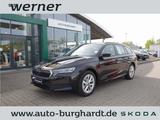Skoda Octavia Combi 1.5 TSI Essence DSG*AHK,CarPlay,An - Skoda Octavia Neuwagen in Bremen
