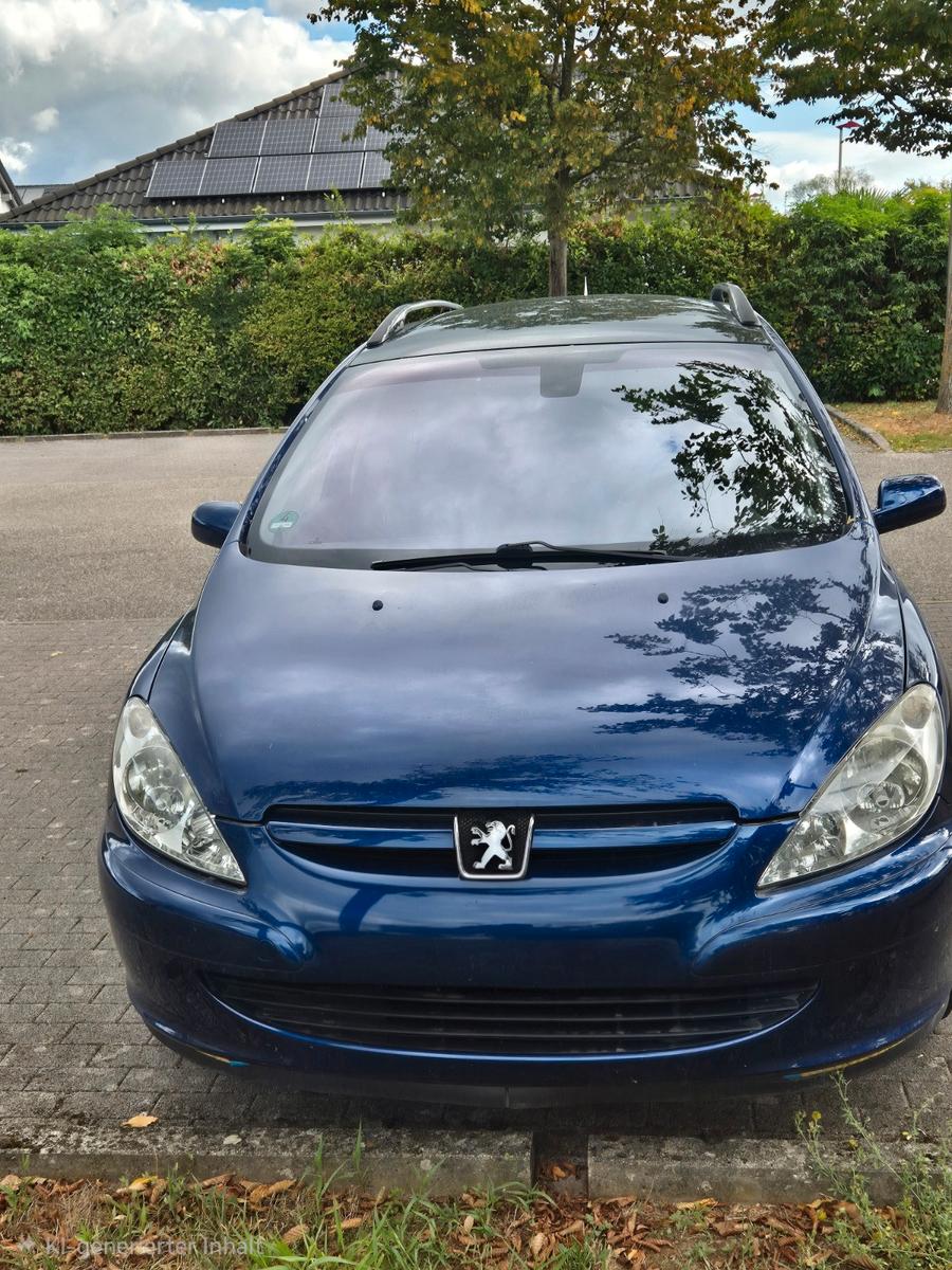 Peugeot 307 2004 — interior