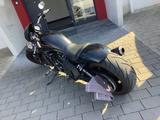 Harley-Davidson Night Rod Special - Angebote