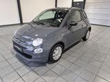 Fiat 500 1.0  Mild Hybrid Cult|Bluetooth - Fiat 500 Cult mit Benzin-Antrieb