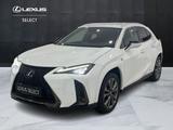 Lexus UX UX 250h 2.0 Flare - F Sport 4wd cvt - weiße Lexus UX