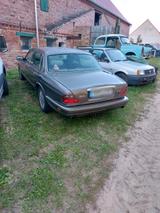 Jaguar Verkaufe Januar - Jaguar XJ6 aus 1995