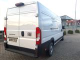 Fiat Ducato L4H2 Maxi 140 MJT Kamera mit Ausbau - Fiat Kastenwagen hoch + lang Maxi