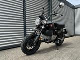 Honda MONKEY 125 / AKTION "TAGESZULASSUNG" - Offers matching your search criteria