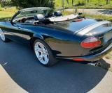 Jaguar Der Sommer kommt, Cabrio Jaguar V8 - Jaguar XK8 aus 2001