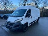 Fiat Ducato Maxi Grossr.-Kasten 35 160 L5H2 RS: 4035 - Fiat Ducato in Hagen